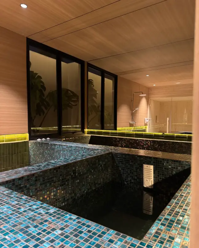 Dark mosaic plunge pool